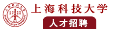大黑逼视频在线